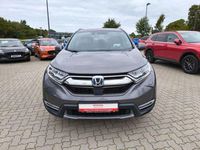 Gebraucht Honda CR-V Executive 184 PS (135 kW) 2022 Grau SUV