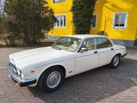 Gebraucht Jaguar XJ 295 PS (216 kW) 1985 Beige Limousine