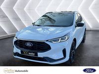 Neu Ford Kuga ST-Line X 182 PS (133 kW) 2026 Weiß SUV