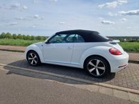 gebraucht VW Beetle 1.2 TSI BMT SOUND Cabriolet SOUND