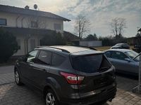 Gebraucht Ford Kuga ST-Line 175 PS (128 kW) 2019 Grau SUV