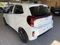 Neu Kia Picanto Vision 63 PS (46 kW) 2025 Weiß Kleinwagen