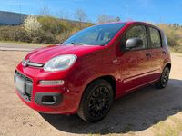 Gebraucht Fiat Panda 69 PS (50 kW) 2016 Rot Kleinwagen