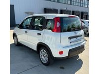 Gebraucht Fiat Panda 69 PS (50 kW) 2023 Weiss) (weiss Kleinwagen