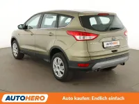 Gebraucht Ford Tempo Trend 150 PS (110 kW) 2015 Grün SUV