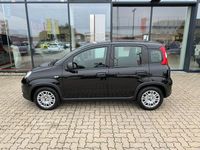 Gebraucht Fiat Panda 69 PS (50 kW) 2024 Schwarz Limousine