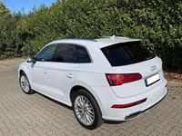 Gebraucht Audi Q5 Design 286 PS (210 kW) 2020 Weiß SUV