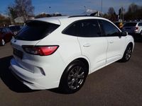 Gebraucht Ford Kuga ST-Line X 190 PS (139 kW) 2020 Andere SUV