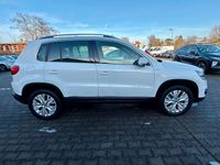 Gebraucht VW Tiguan Life 140 PS (102 kW) 2013 Weiß SUV