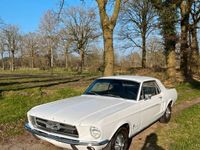 gebraucht Ford Mustang 1967 V6 H-Zulassung Automatik TÜV NEU