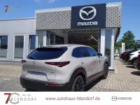 Neu Mazda CX-30 Homura-Line 140 PS (102 kW) 2026 Beige SUV