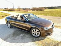 gebraucht Audi A5 Cabriolet 3.0 TDI 180kW S tr. quat. -