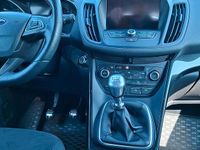 Gebraucht Ford Kuga ST-Line 179 PS (131 kW) 2019 Rot SUV