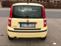 Gebraucht Fiat Panda 60 PS (44 kW) 2009 Gelb Kleinwagen