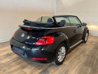 gebraucht VW Beetle Cabrio Design NAVI-PDC-TEMP-KLIMA-WINTER