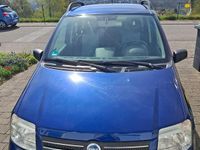 Gebraucht Fiat Panda Dynamic 60 PS (44 kW) 2007 Blau Kleinwagen