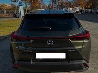 Gebraucht Lexus UX 250h 184 PS (135 kW) 2023 Grün SUV