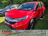 Gebraucht Honda CR-V Elegance 173 PS (127 kW) 2019 Rally red SUV