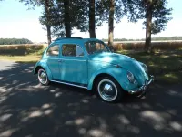 Gebraucht VW Käfer 34 PS (25 kW) 1963 Grün Limousine