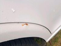 Gebraucht Seat Leon FR 170 PS (125 kW) 2011 Weiß Kleinwagen