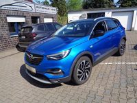 Gebraucht Opel Grandland X 131 PS (96 kW) 2020 Blau SUV