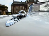 Gebraucht Buick Special 150 PS (110 kW) 1954 Weiß Cabrio