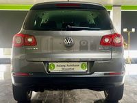 gebraucht VW Tiguan 2.0 TSI DSG 4MOTION Team*Xenon*Klimaauto