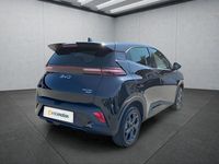 Neu BYD Dolphin 64 kW (88 PS) 2025 Schwarz Kleinwagen