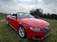 gebraucht Audi S5 Cabriolet 3.0 TSI 4x4 S-line Leder