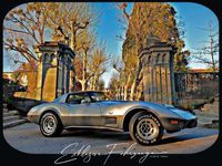 gebraucht Corvette C3 |78´ Anniversary Silver Edition|220PS