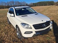 Gebraucht Mercedes ML250 204 PS (150 kW) 2012 Weiß SUV