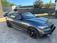 Gebraucht BMW 228 M Sport 245 PS (180 kW) 2015 Grau Cabrio