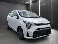 Gebraucht Kia Picanto Vision 68 PS (50 kW) 2026 Weiss Kleinwagen