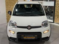 Gebraucht Fiat Panda 71 PS (52 kW) 2023 Weiß Kleinwagen