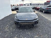 Neu Cupra Leon 150 PS (110 kW) 2025 Magent grau s7s Limousine