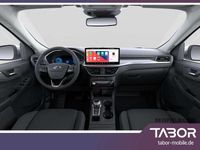 Neu Ford Kuga Titanium 186 PS (136 kW) 2025 Grün SUV