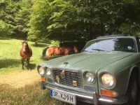 Gebraucht Jaguar XJ6 S 181 PS (133 kW) 1971 Grün Limousine