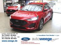 Neu Ford Focus ST-Line 125 PS (91 kW) 2026 Rot Kombi