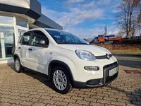 Gebraucht Fiat Panda 69 PS (50 kW) 2023 Weiß Kleinwagen