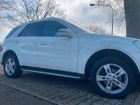 Gebraucht Mercedes ML350 231 PS (169 kW) 2011 Weiß SUV