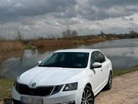 Gebraucht Skoda Octavia Drive 116 PS (85 kW) 2017 Weiß Limousine
