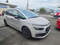 Gebraucht Citroën C4 Rip Curl 131 PS (96 kW) 2019 Lackierung sable/metallic klar Van / Kleinbus