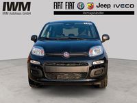 Neu Fiat Panda Icon 69 PS (50 kW) 2026 Schwarz Limousine