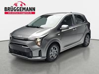 Neu Kia Picanto Vision 68 PS (50 kW) 2025 Grau Kleinwagen