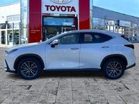 Gebraucht Lexus NX450h+ Business Edition 309 PS (227 kW) 2022 Titaniumweiß SUV