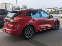 Gebraucht Ford Kuga ST-Line 120 PS (88 kW) 2023 Rot, lucid red metallic SUV