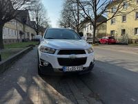 Gebraucht Chevrolet Captiva 184 PS (135 kW) 2012 Weiß SUV