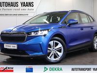 Gebraucht Skoda Enyaq iV Loft 131 kW (179 PS) 2021 Blau SUV