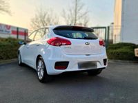 Gebraucht Kia Ceed 100 PS (73 kW) 2016 Weiß Kleinwagen