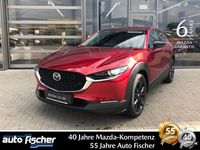 Neu Mazda CX-30 Go 186 PS (136 kW) 2026 Rot SUV